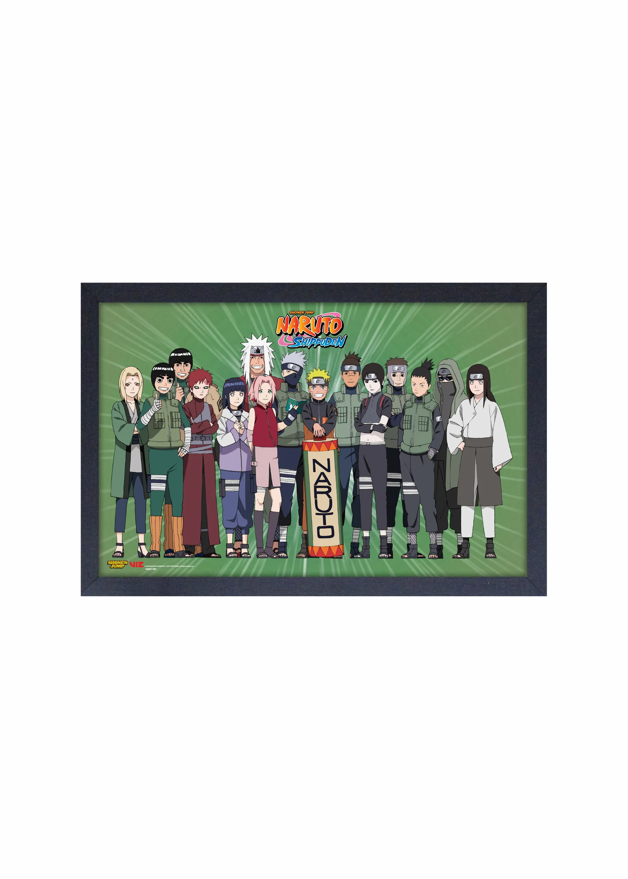 Naruto - Character Lineup (11"x17" Gel-Coat) (Order in multiples of 6, mix and match styles)