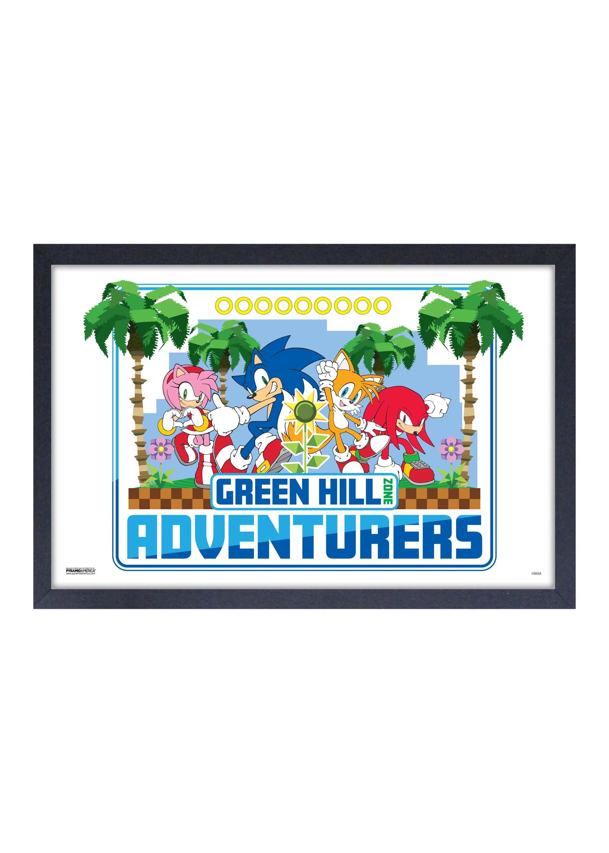 Sonic the Hedgehog - Green Hill Adventures (11"x17" Gel-Coat) (Order in multiples of 6, mix and match styles)