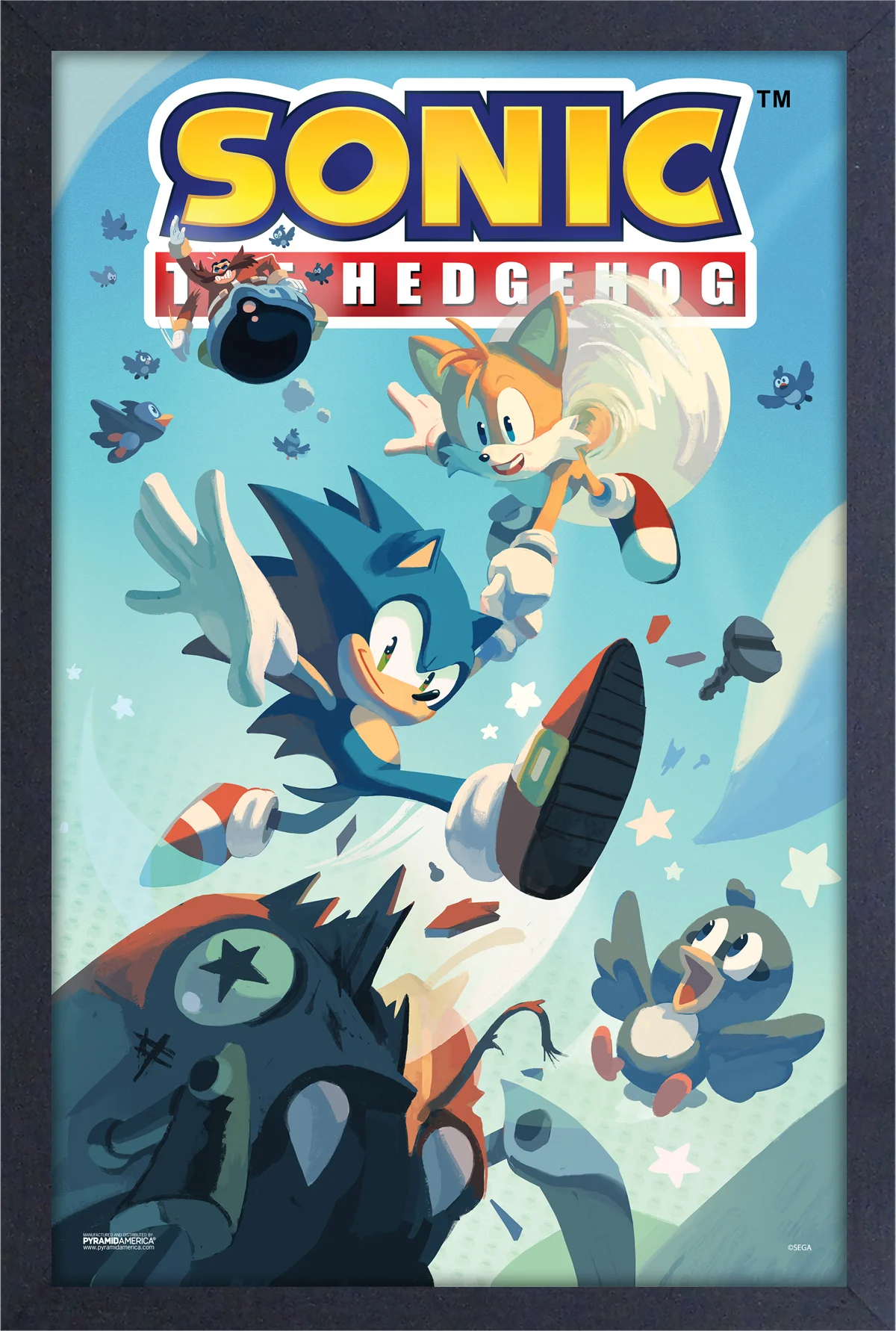 Sonic the Hedgehog - Flying Birds (11"x17" Gel-Coat) (Order in multiples of 6, mix and match styles)