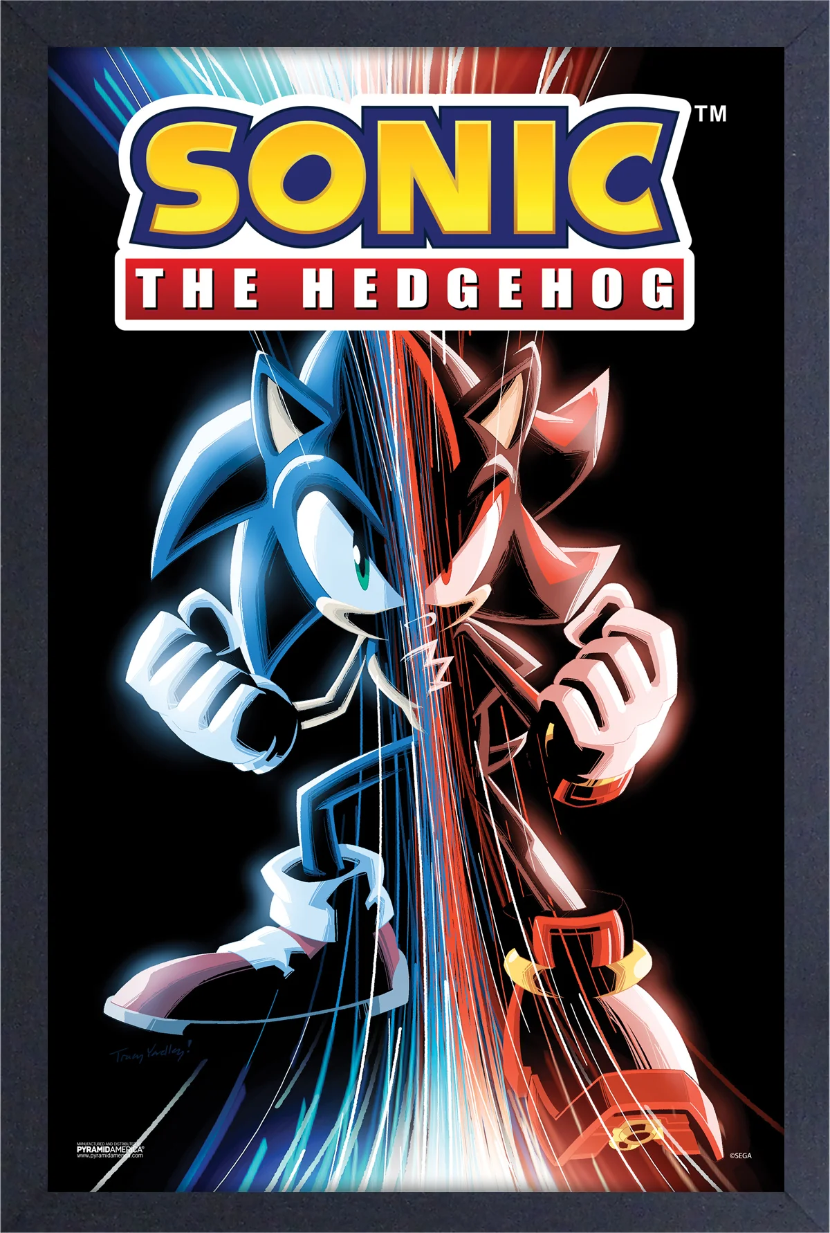 Sonic the Hedgehog - Sonic/Shadow (11"x17" Gel-Coat) (Order in multiples of 6, mix and match styles)