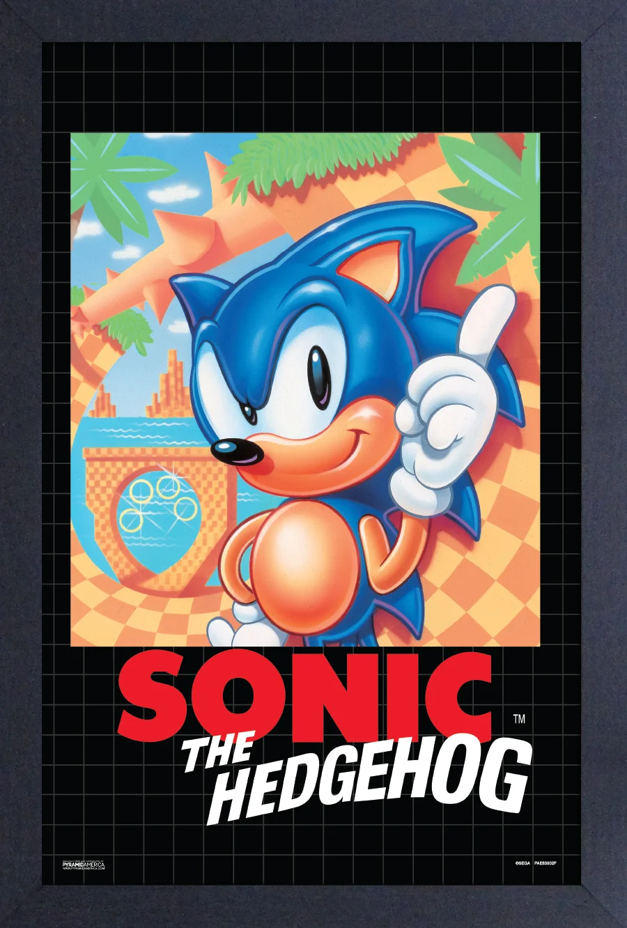 Sonic the Hedgehog - Sonic the Hedgehog Cover (11"x17" Gel-Coat) (Order in multiples of 6, mix and match styles)