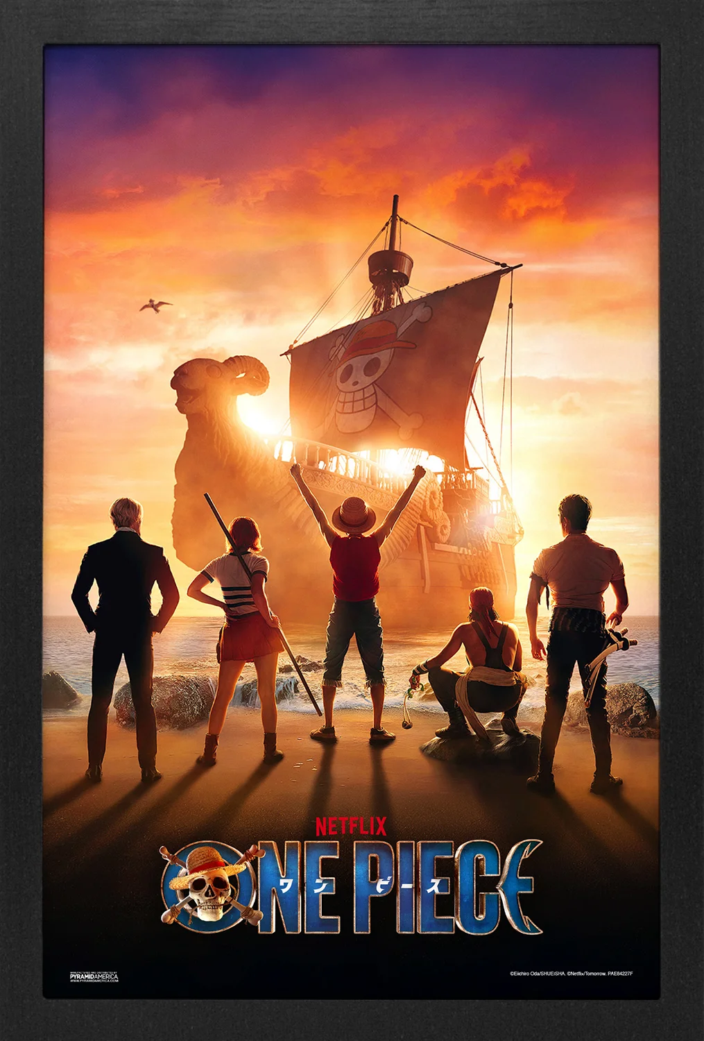 One Piece (Live Action) - Key Art (11"x17" Gel-Coat) (Order in multiples of 6, mix and match styles)