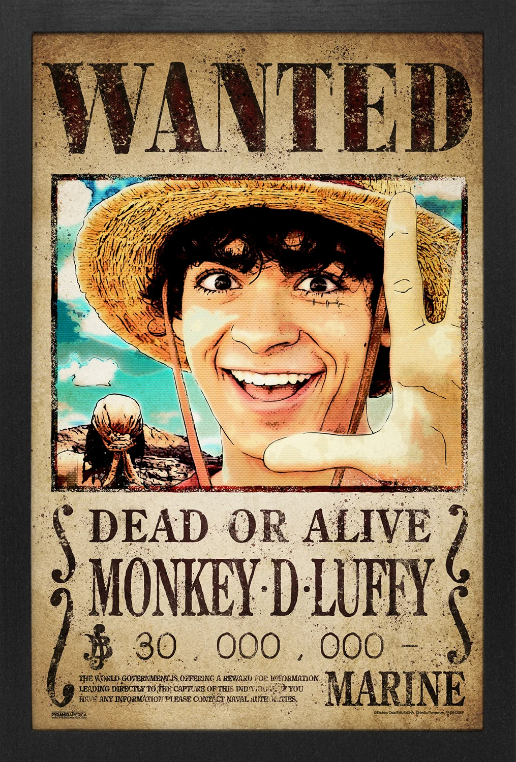 One Piece (Live Action) - Luffy WANTED (11"x17" Gel-Coat) (Order in multiples of 6, mix and match styles)