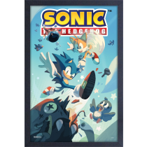 Sonic the Hedgehog - Flying Birds (11"x17" Gel-Coat) (Pre-Order) (Order in multiples of 6, mix and match styles)