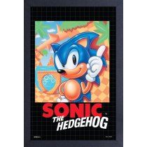 Sonic the Hedgehog - Sonic the Hedgehog Cover (11"x17" Gel-Coat) (Order in multiples of 6, mix and match styles)